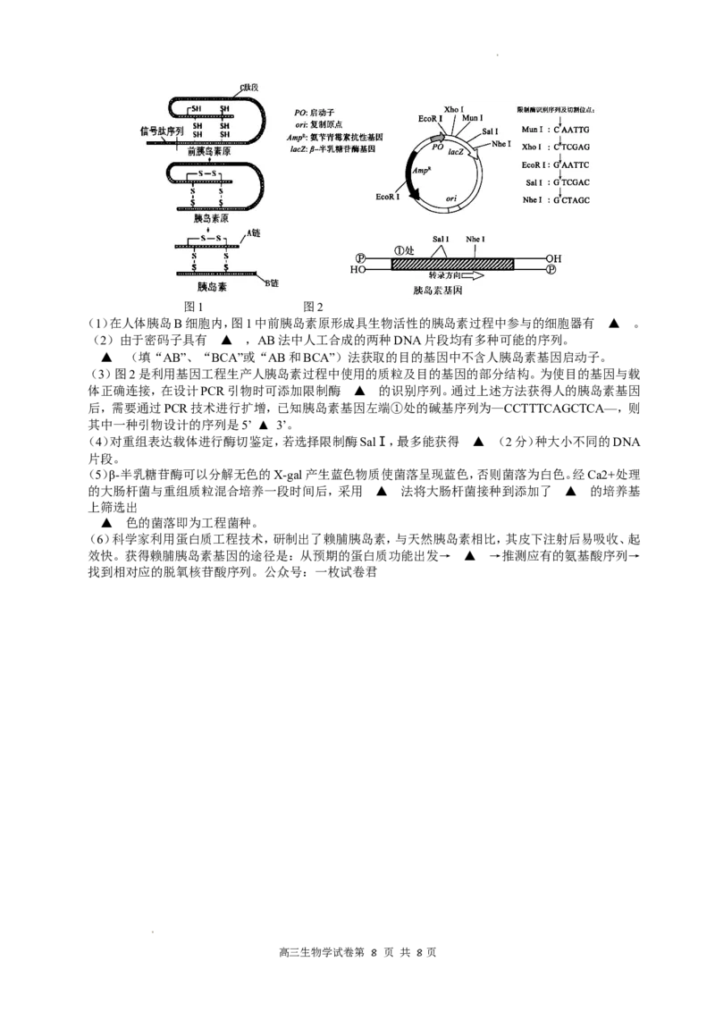 江苏省南京市2022-2023学年高三上学期9月学情调研试题+生物_2023年8月_01每日更新_17号_2023届江苏省南京市学期期初学情调研_052023江苏省南京市学期期初学情调研生物含答案
