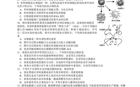 江苏省南京市2022-2023学年高三上学期9月学情调研试题+生物_2023年8月_01每日更新_17号_2023届江苏省南京市学期期初学情调研_052023江苏省南京市学期期初学情调研生物含答案