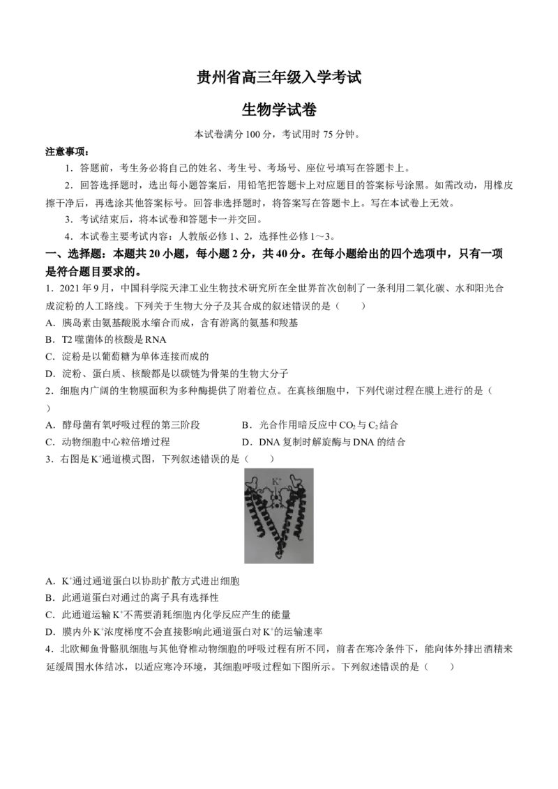 贵州省2023-2024学年高三上学期入学考试生物试题_2023年8月_01每日更新_13号_2024届贵州省高三上学期8月入学考试（金太阳24-11C)_贵州省2024届高三上学期8月入学考试（金太阳24-11C)生物