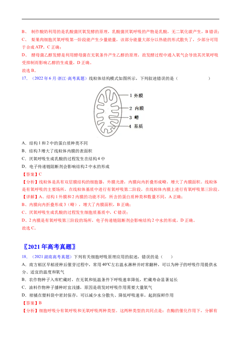 专题05细胞呼吸与光合作用-五年（2019-2023）高考生物真题分项汇编（全国通用）（解析版）_赠送：2008-2024全套高考真题_高考生物真题