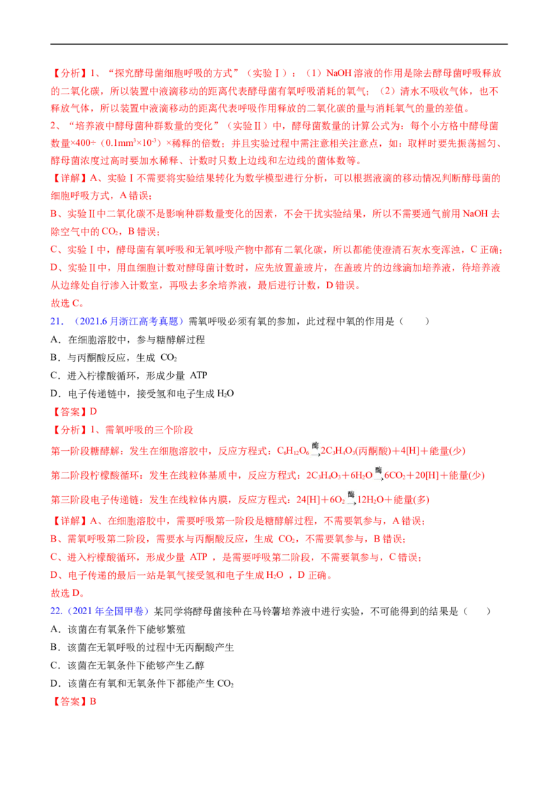 专题05细胞呼吸与光合作用-五年（2019-2023）高考生物真题分项汇编（全国通用）（解析版）_赠送：2008-2024全套高考真题_高考生物真题