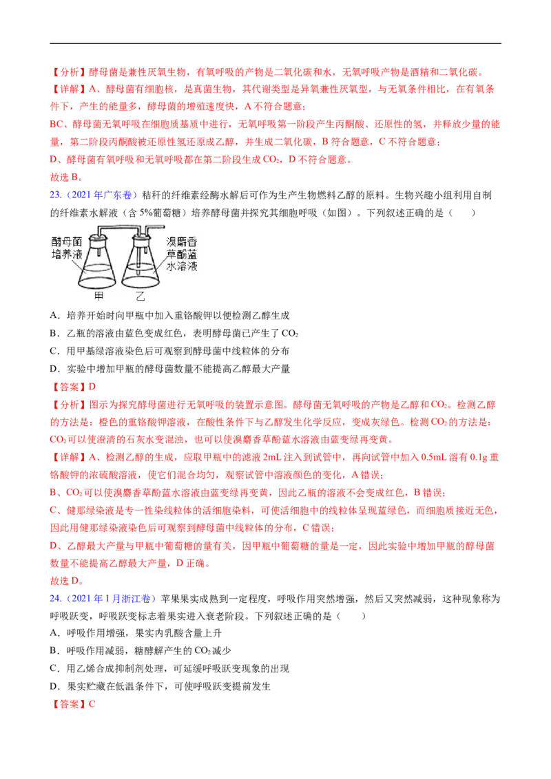 专题05细胞呼吸与光合作用-五年（2019-2023）高考生物真题分项汇编（全国通用）（解析版）_赠送：2008-2024全套高考真题_高考生物真题