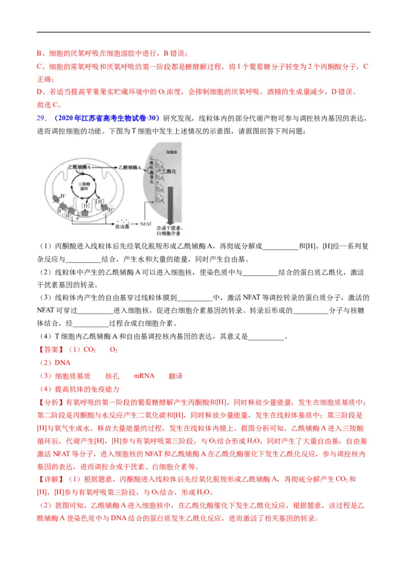 专题05细胞呼吸与光合作用-五年（2019-2023）高考生物真题分项汇编（全国通用）（解析版）_赠送：2008-2024全套高考真题_高考生物真题