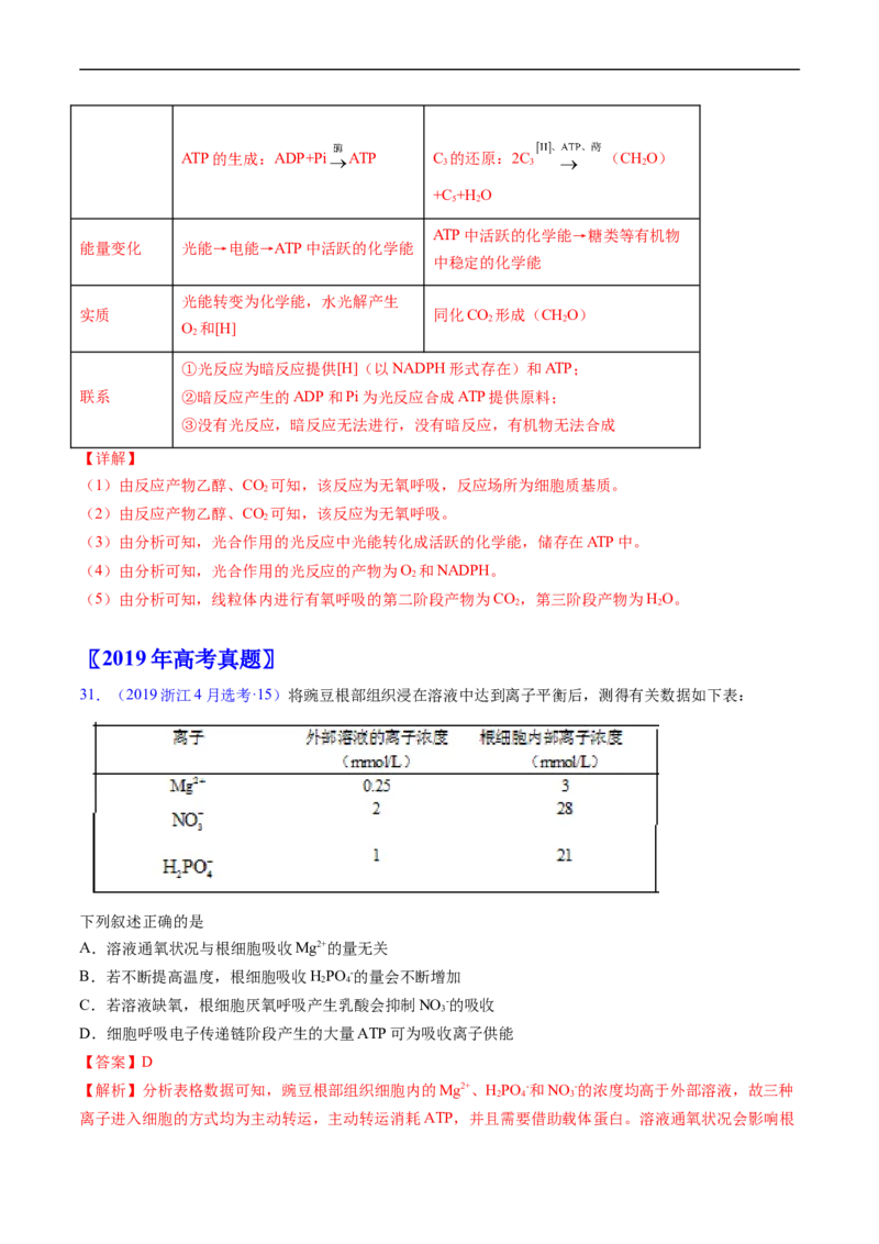 专题05细胞呼吸与光合作用-五年（2019-2023）高考生物真题分项汇编（全国通用）（解析版）_赠送：2008-2024全套高考真题_高考生物真题