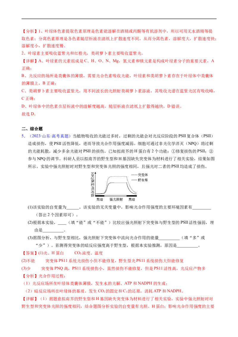 专题05细胞呼吸与光合作用-五年（2019-2023）高考生物真题分项汇编（全国通用）（解析版）_赠送：2008-2024全套高考真题_高考生物真题