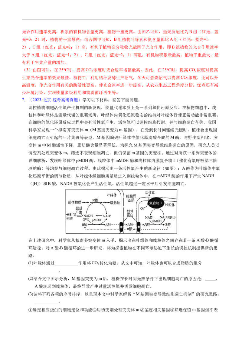 专题05细胞呼吸与光合作用-五年（2019-2023）高考生物真题分项汇编（全国通用）（解析版）_赠送：2008-2024全套高考真题_高考生物真题