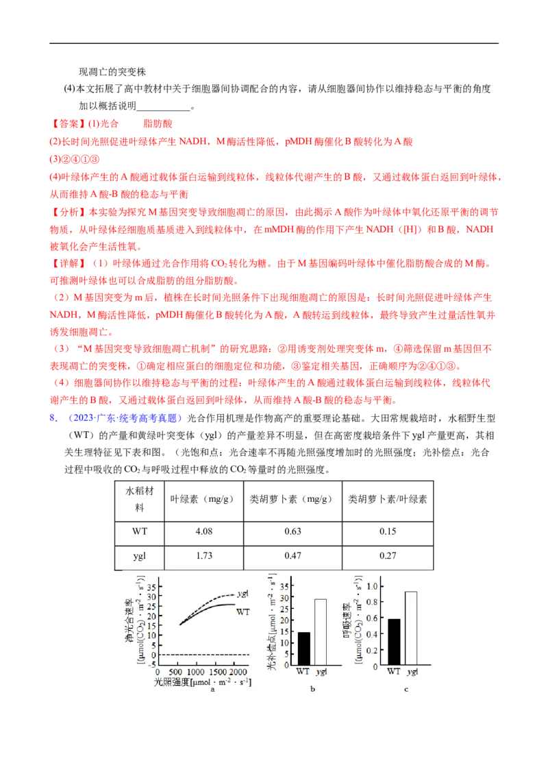 专题05细胞呼吸与光合作用-五年（2019-2023）高考生物真题分项汇编（全国通用）（解析版）_赠送：2008-2024全套高考真题_高考生物真题