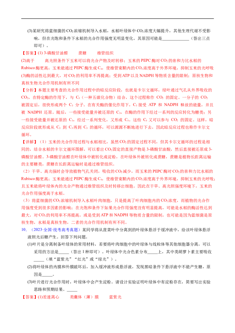 专题05细胞呼吸与光合作用-五年（2019-2023）高考生物真题分项汇编（全国通用）（解析版）_赠送：2008-2024全套高考真题_高考生物真题