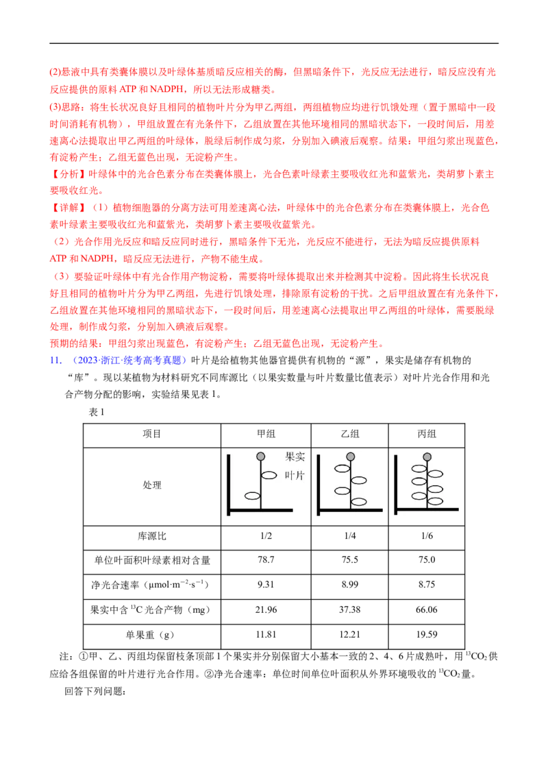 专题05细胞呼吸与光合作用-五年（2019-2023）高考生物真题分项汇编（全国通用）（解析版）_赠送：2008-2024全套高考真题_高考生物真题