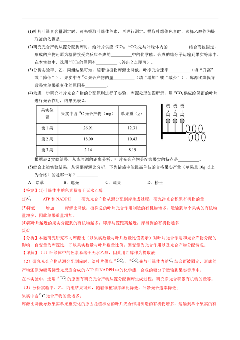 专题05细胞呼吸与光合作用-五年（2019-2023）高考生物真题分项汇编（全国通用）（解析版）_赠送：2008-2024全套高考真题_高考生物真题
