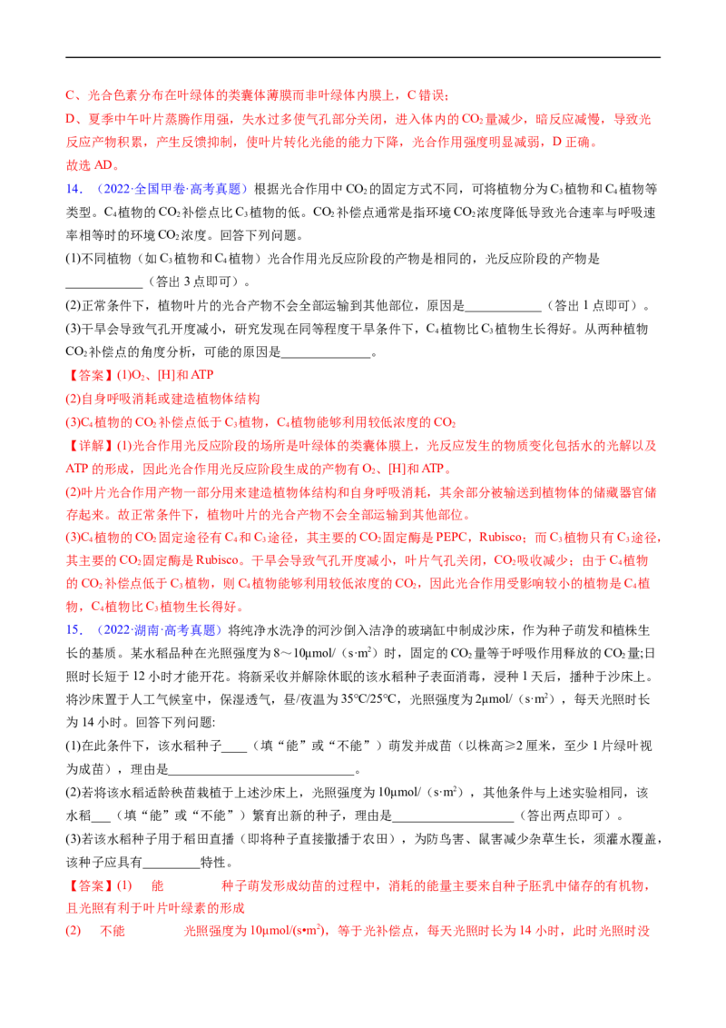 专题05细胞呼吸与光合作用-五年（2019-2023）高考生物真题分项汇编（全国通用）（解析版）_赠送：2008-2024全套高考真题_高考生物真题
