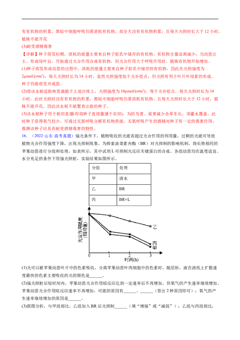 专题05细胞呼吸与光合作用-五年（2019-2023）高考生物真题分项汇编（全国通用）（解析版）_赠送：2008-2024全套高考真题_高考生物真题