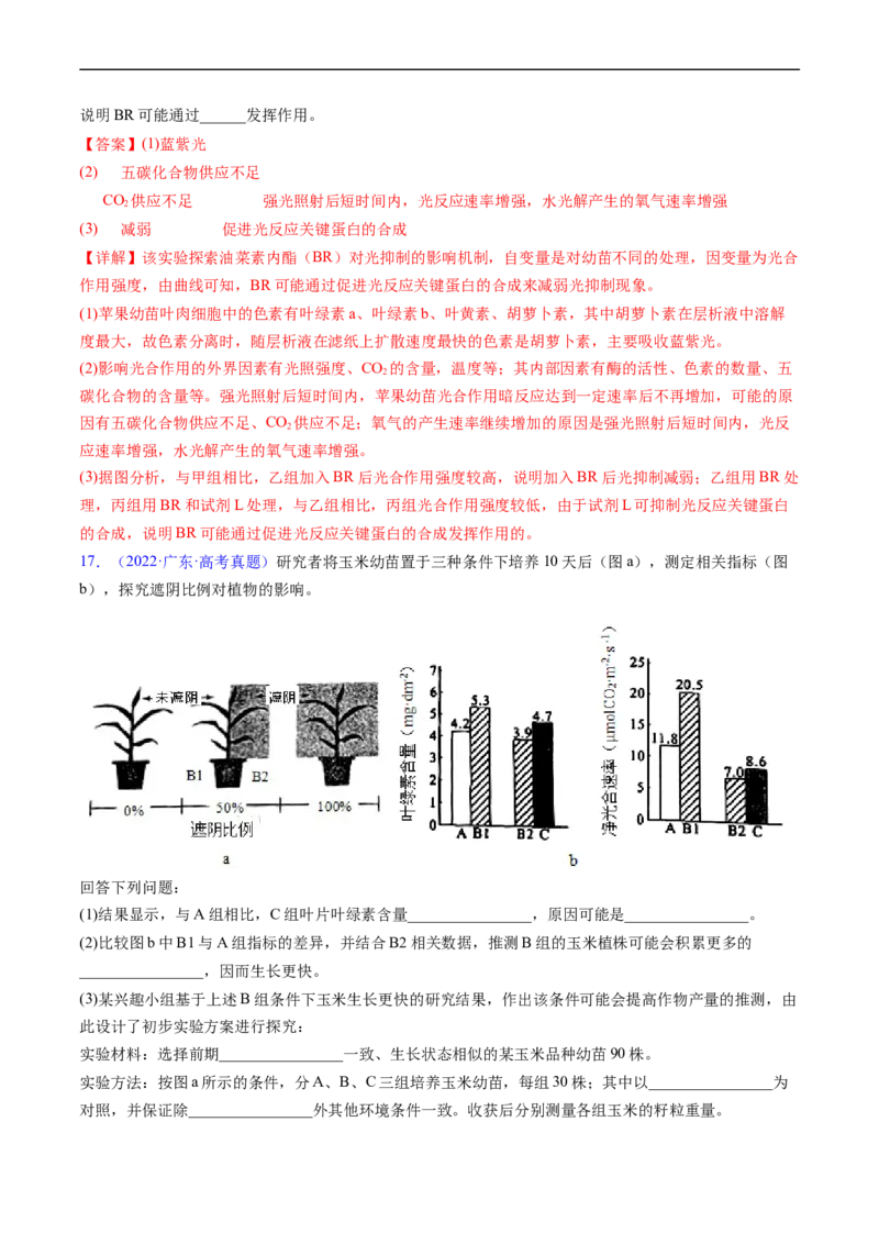 专题05细胞呼吸与光合作用-五年（2019-2023）高考生物真题分项汇编（全国通用）（解析版）_赠送：2008-2024全套高考真题_高考生物真题