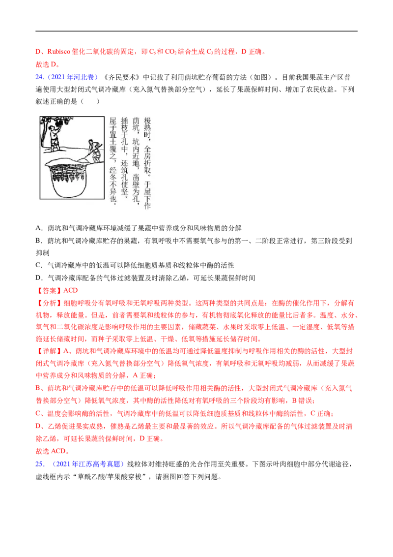 专题05细胞呼吸与光合作用-五年（2019-2023）高考生物真题分项汇编（全国通用）（解析版）_赠送：2008-2024全套高考真题_高考生物真题