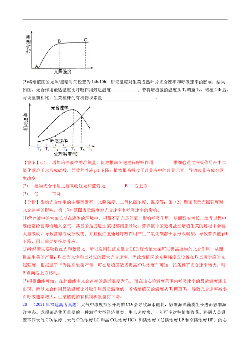 专题05细胞呼吸与光合作用-五年（2019-2023）高考生物真题分项汇编（全国通用）（解析版）_赠送：2008-2024全套高考真题_高考生物真题