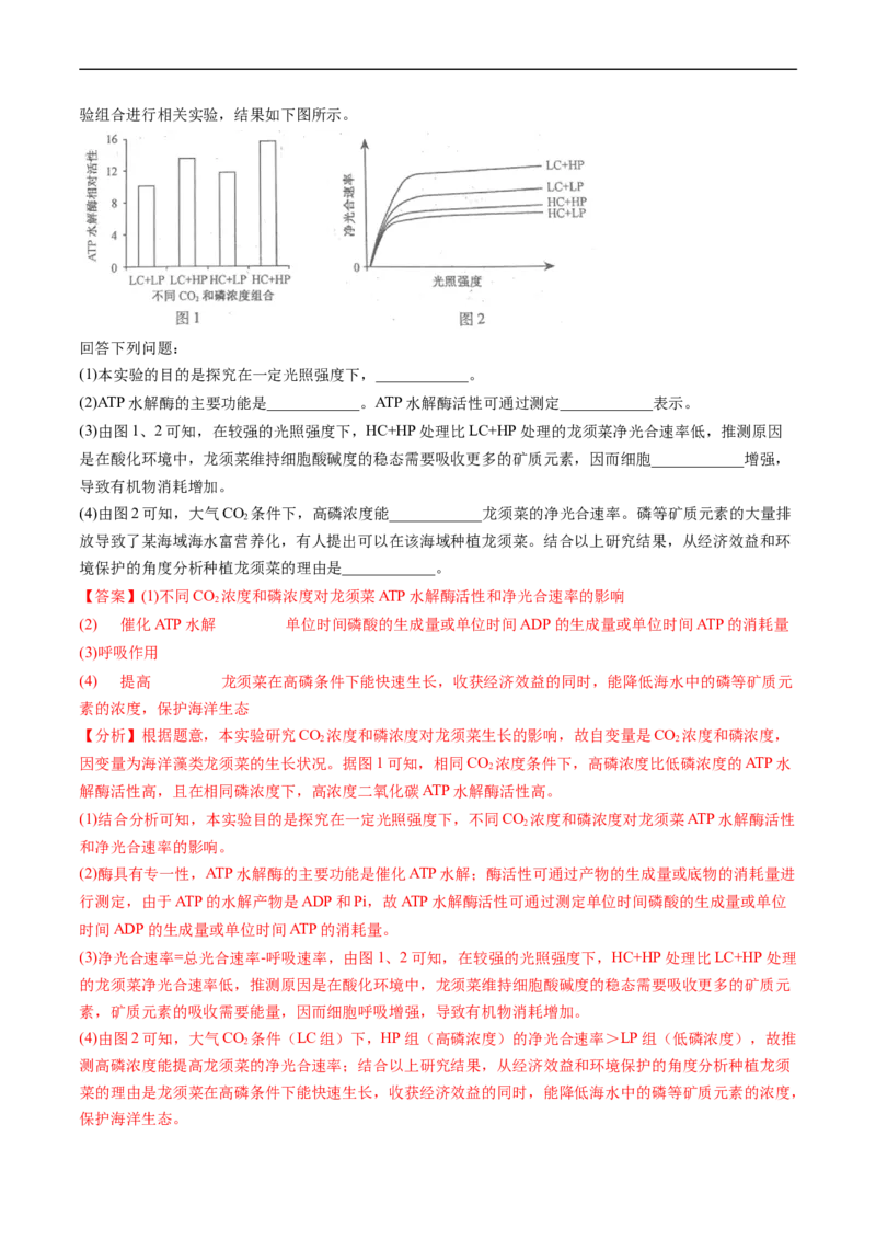 专题05细胞呼吸与光合作用-五年（2019-2023）高考生物真题分项汇编（全国通用）（解析版）_赠送：2008-2024全套高考真题_高考生物真题