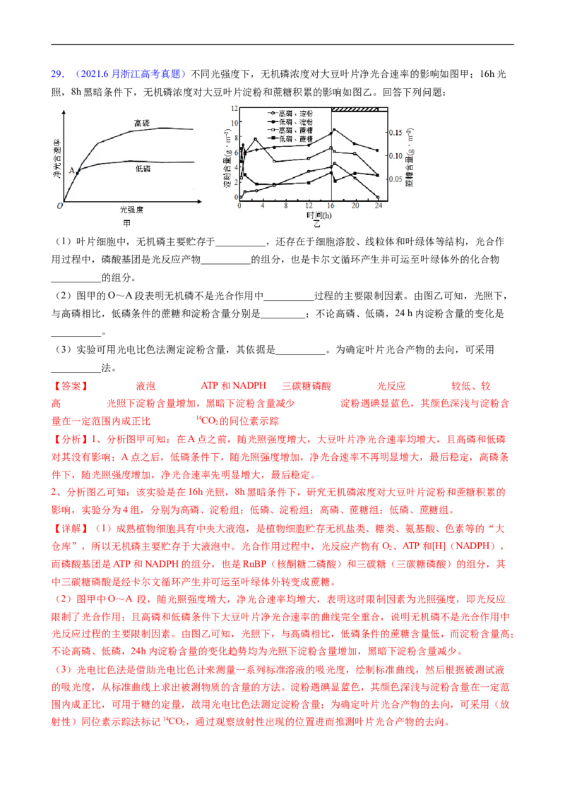 专题05细胞呼吸与光合作用-五年（2019-2023）高考生物真题分项汇编（全国通用）（解析版）_赠送：2008-2024全套高考真题_高考生物真题