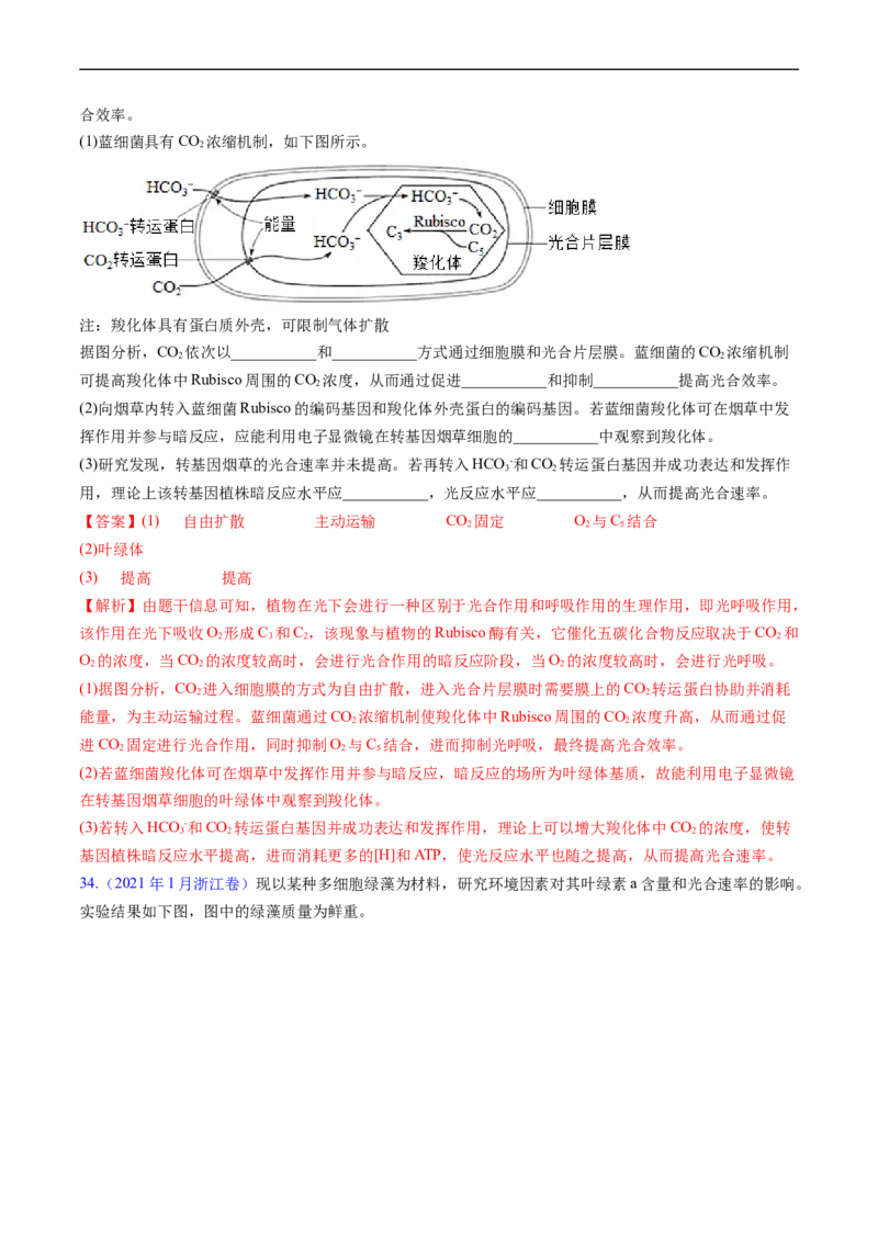 专题05细胞呼吸与光合作用-五年（2019-2023）高考生物真题分项汇编（全国通用）（解析版）_赠送：2008-2024全套高考真题_高考生物真题
