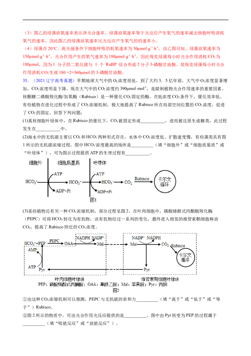专题05细胞呼吸与光合作用-五年（2019-2023）高考生物真题分项汇编（全国通用）（解析版）_赠送：2008-2024全套高考真题_高考生物真题