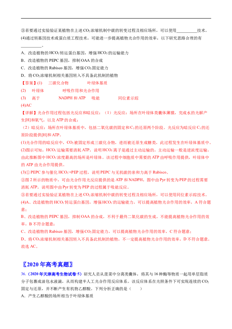 专题05细胞呼吸与光合作用-五年（2019-2023）高考生物真题分项汇编（全国通用）（解析版）_赠送：2008-2024全套高考真题_高考生物真题