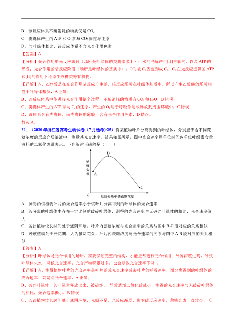 专题05细胞呼吸与光合作用-五年（2019-2023）高考生物真题分项汇编（全国通用）（解析版）_赠送：2008-2024全套高考真题_高考生物真题