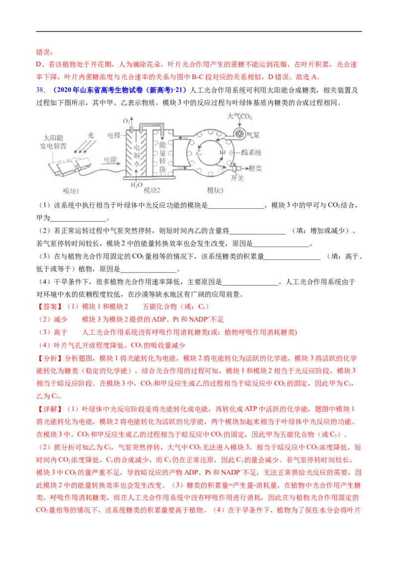 专题05细胞呼吸与光合作用-五年（2019-2023）高考生物真题分项汇编（全国通用）（解析版）_赠送：2008-2024全套高考真题_高考生物真题