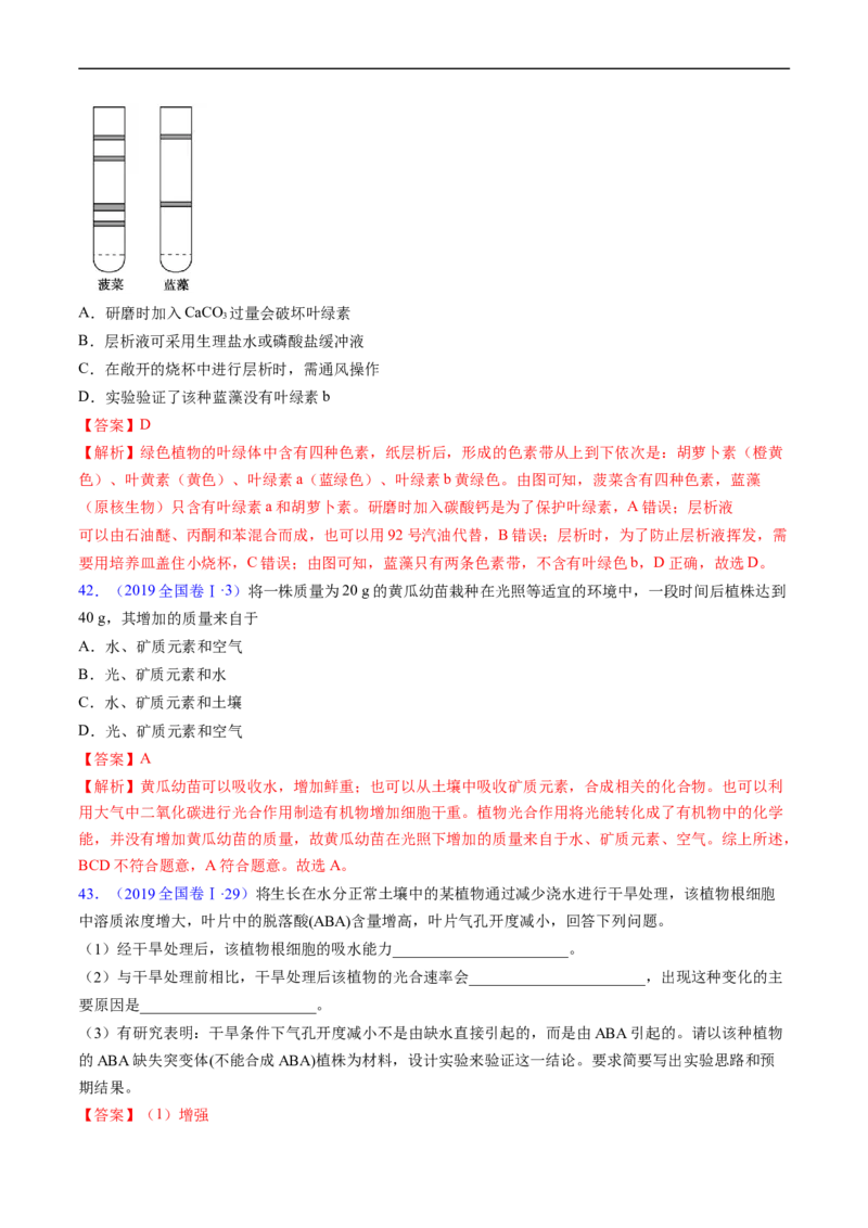 专题05细胞呼吸与光合作用-五年（2019-2023）高考生物真题分项汇编（全国通用）（解析版）_赠送：2008-2024全套高考真题_高考生物真题