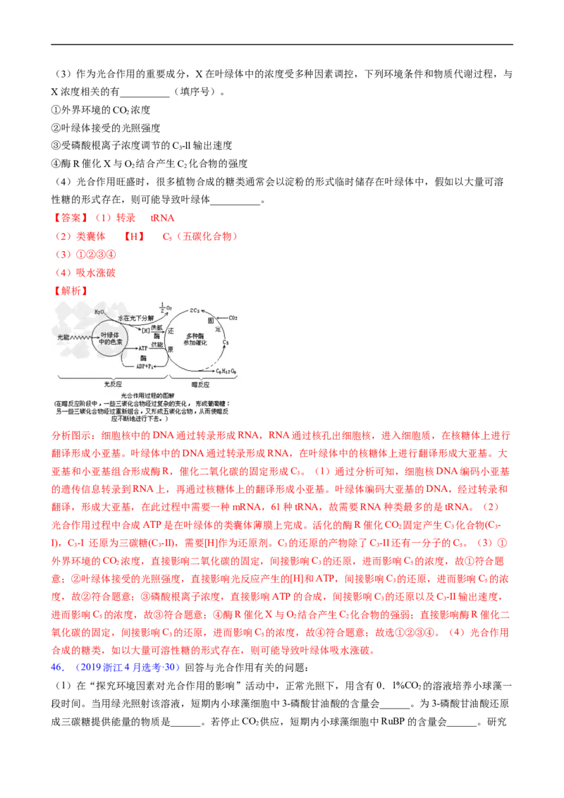 专题05细胞呼吸与光合作用-五年（2019-2023）高考生物真题分项汇编（全国通用）（解析版）_赠送：2008-2024全套高考真题_高考生物真题