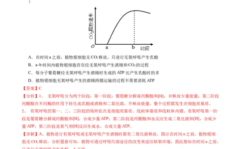 专题05细胞呼吸与光合作用-五年（2019-2023）高考生物真题分项汇编（全国通用）（解析版）_赠送：2008-2024全套高考真题_高考生物真题