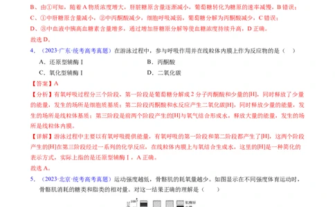 专题05细胞呼吸与光合作用-五年（2019-2023）高考生物真题分项汇编（全国通用）（解析版）_赠送：2008-2024全套高考真题_高考生物真题