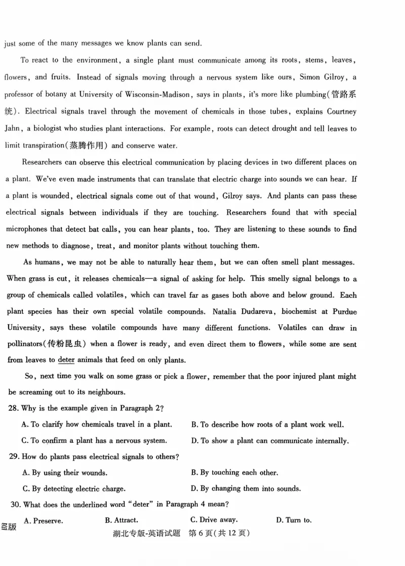 英语试卷_2024高考押题卷_22024王hou雄_16王后雄押题_2024年王后雄高考押题预测卷（湖北专版）_英语