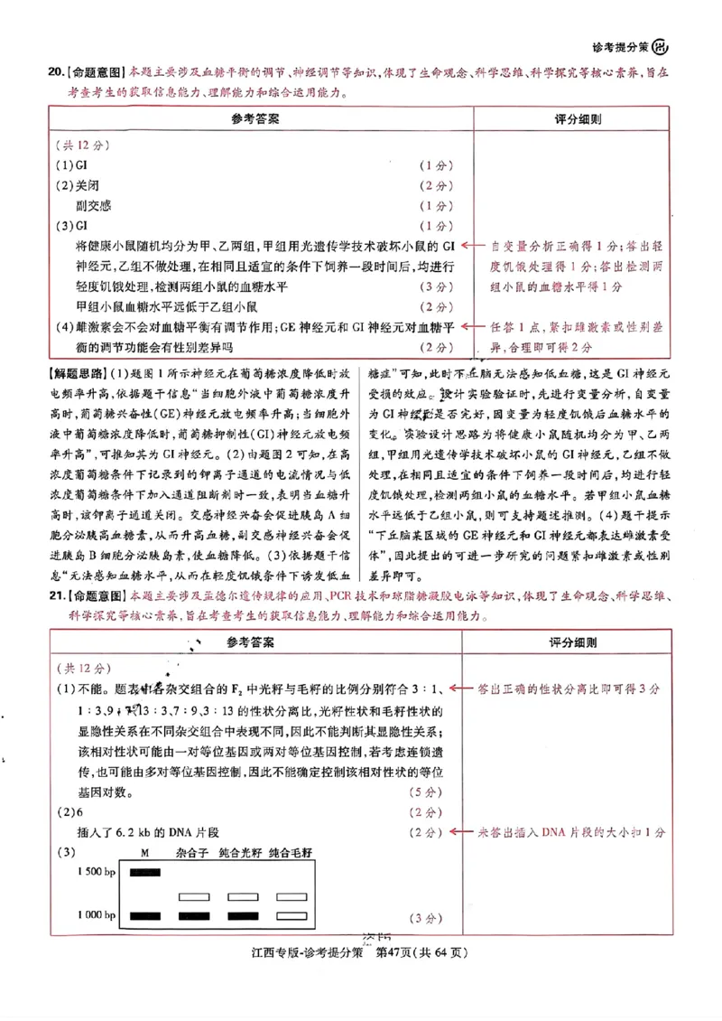 王后雄高考押题预测卷2024江西专版诊考提分册_2024高考押题卷_22024王hou雄_（新高考）2024王后雄押题预测卷（分科版）_4.物理