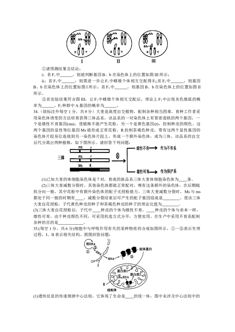 河南省南阳市第一中学2023-2024学年高三上学期第三次月考试题+生物+Word版含答案(1)_2023年10月_01每日更新_19号_2024届河南省南阳市第一中学高三上学期第三次月考
