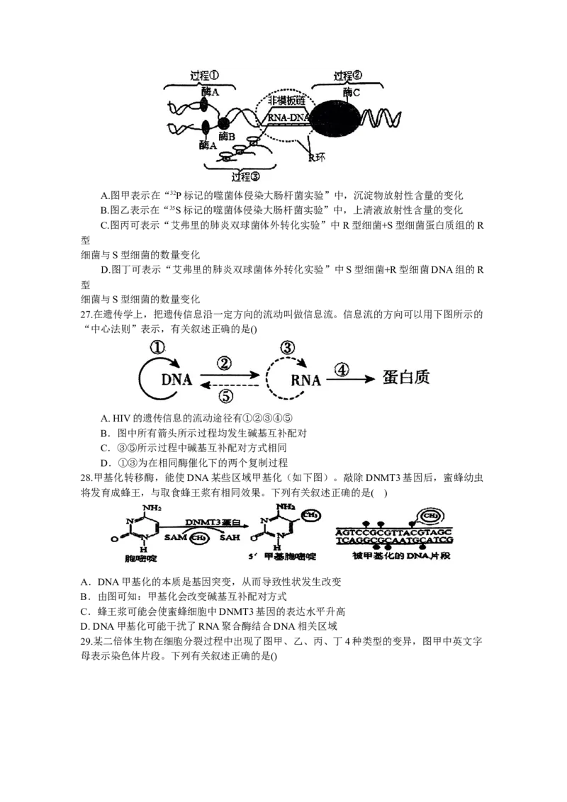 河南省南阳市第一中学2023-2024学年高三上学期第三次月考试题+生物+Word版含答案(1)_2023年10月_01每日更新_19号_2024届河南省南阳市第一中学高三上学期第三次月考