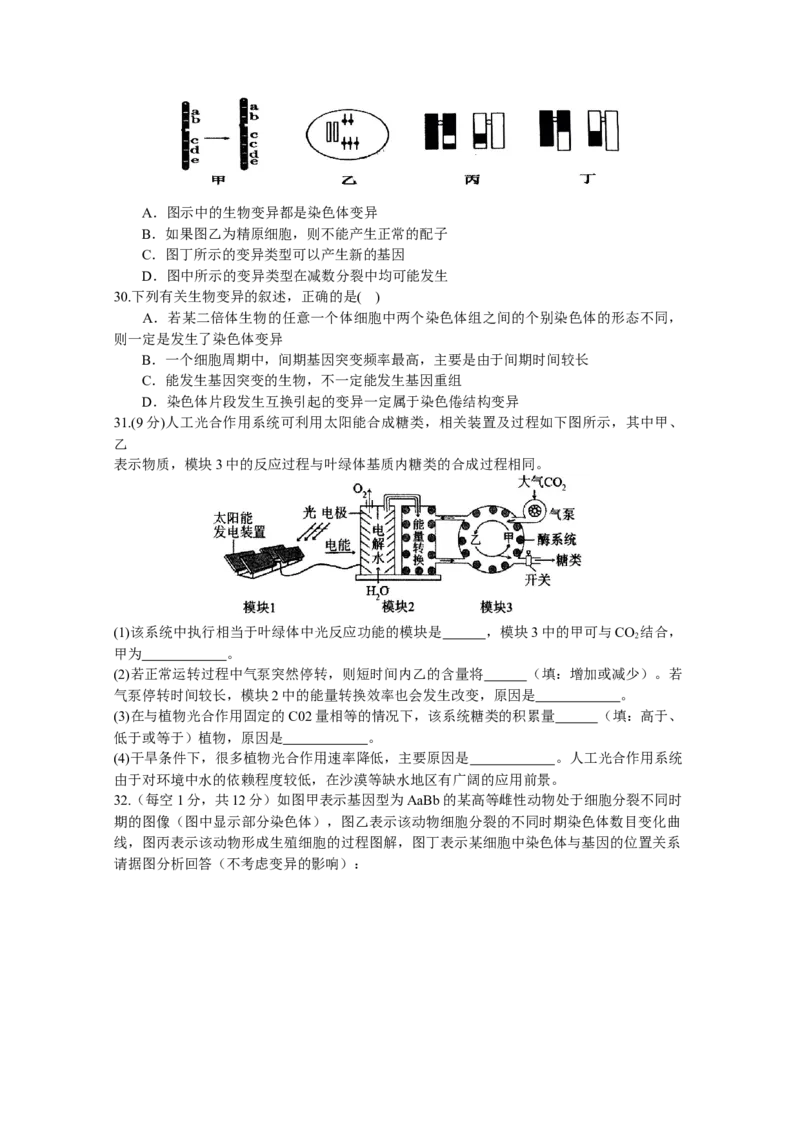 河南省南阳市第一中学2023-2024学年高三上学期第三次月考试题+生物+Word版含答案(1)_2023年10月_01每日更新_19号_2024届河南省南阳市第一中学高三上学期第三次月考