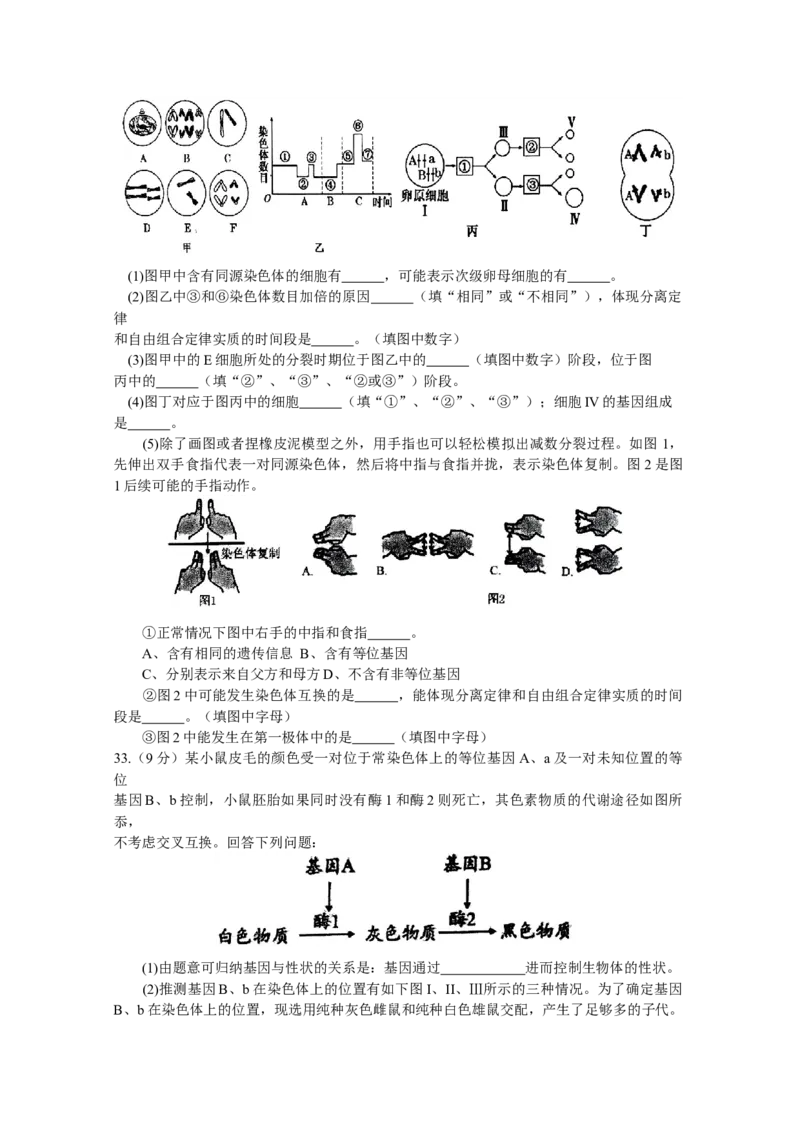 河南省南阳市第一中学2023-2024学年高三上学期第三次月考试题+生物+Word版含答案(1)_2023年10月_01每日更新_19号_2024届河南省南阳市第一中学高三上学期第三次月考