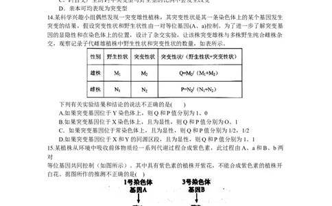 河南省南阳市第一中学2023-2024学年高三上学期第三次月考试题+生物+Word版含答案(1)_2023年10月_01每日更新_19号_2024届河南省南阳市第一中学高三上学期第三次月考