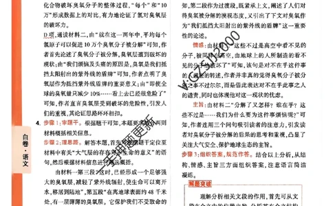 白卷语文评分标准及详解详析_2024高考押题卷_32024腾远黑白卷_2024腾远高考黑白卷（新课标卷）_白卷答案