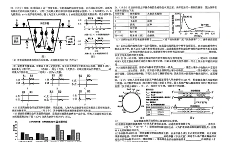 2024届山东省山东中学联盟高三下学期5月考前模拟冲刺大联考生物试题+答案(1)_2024年5月_025月合集_2024届山东省中学联盟高三5月考前模拟冲刺大联考