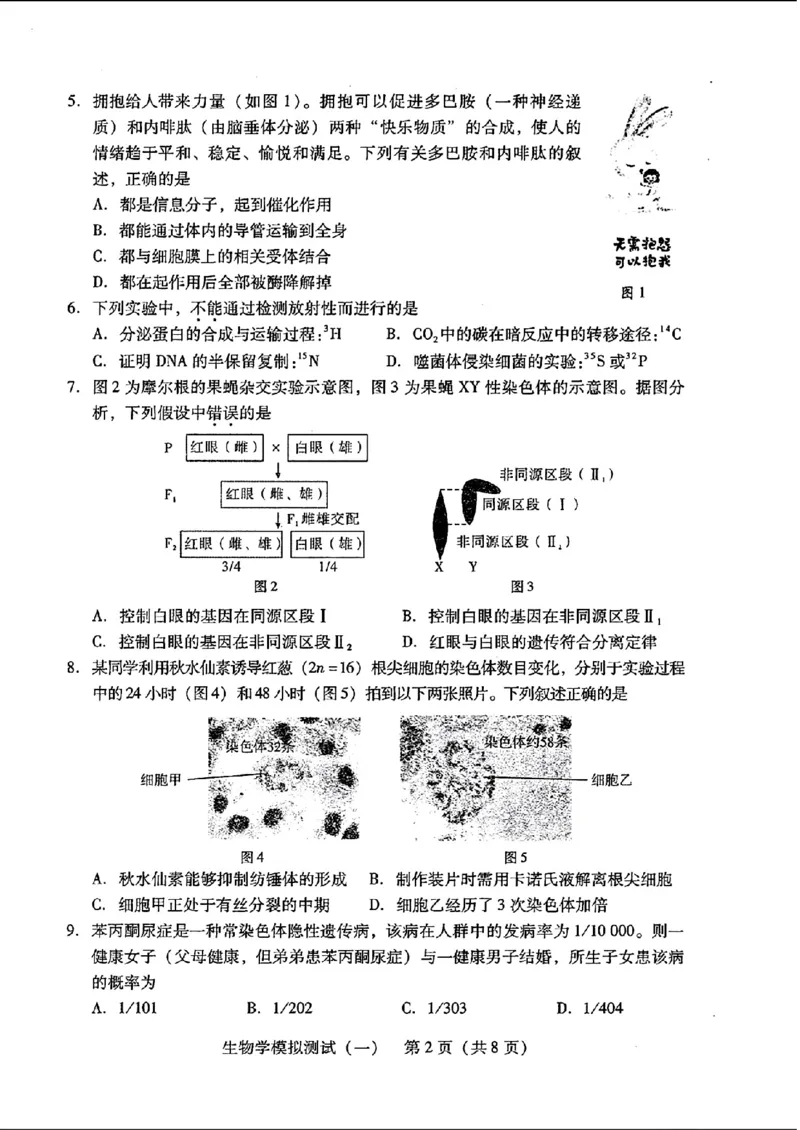 2024届广东省普通高中学业水平选择考模拟测试（一）生物学(1)_2024年3月_013月合集_2024届广东省高三下学期3月一模考试