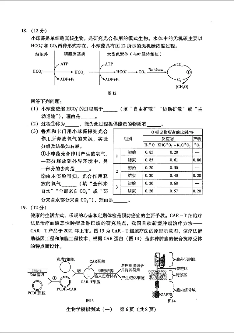 2024届广东省普通高中学业水平选择考模拟测试（一）生物学(1)_2024年3月_013月合集_2024届广东省高三下学期3月一模考试