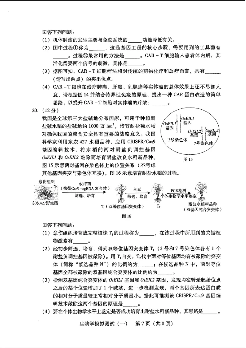 2024届广东省普通高中学业水平选择考模拟测试（一）生物学(1)_2024年3月_013月合集_2024届广东省高三下学期3月一模考试