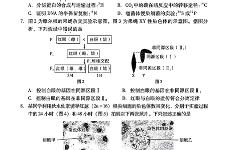 2024届广东省普通高中学业水平选择考模拟测试（一）生物学(1)_2024年3月_013月合集_2024届广东省高三下学期3月一模考试