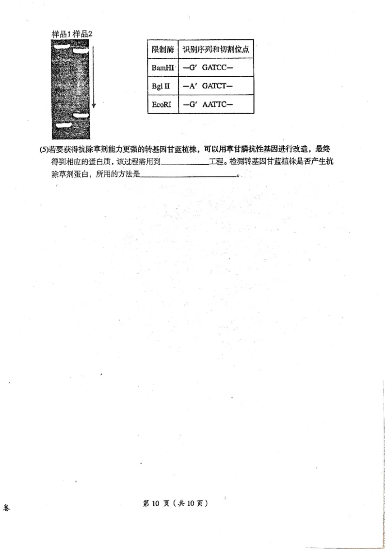 2024届江西省鹰潭市高三下学期第一次模拟考试（鹰潭一模）生物_2024年3月_013月合集_2024届江西省鹰潭市高三下学期第一次模拟考试（鹰潭一模）