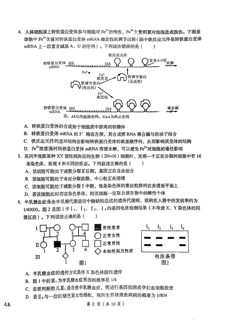 2024届江西省鹰潭市高三下学期第一次模拟考试（鹰潭一模）生物_2024年3月_013月合集_2024届江西省鹰潭市高三下学期第一次模拟考试（鹰潭一模）