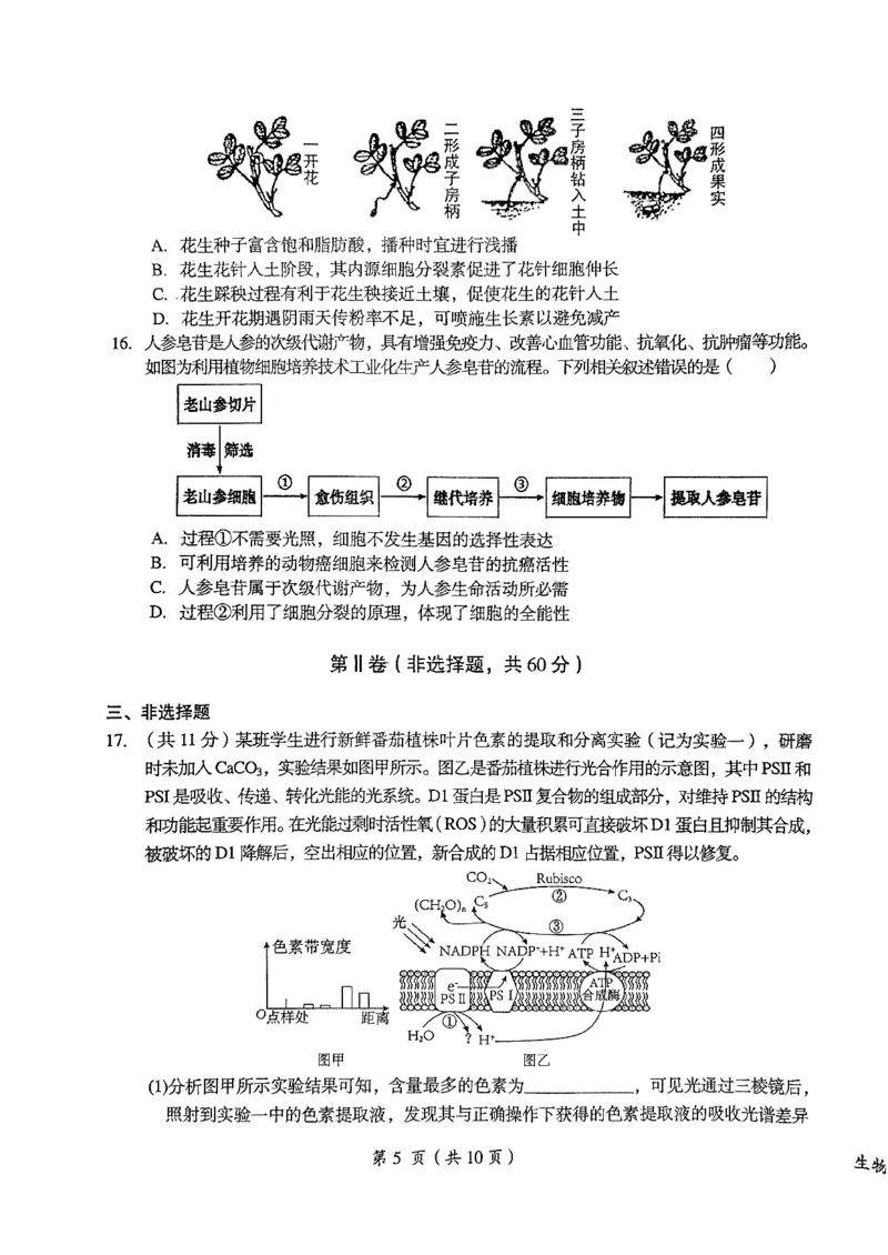 2024届江西省鹰潭市高三下学期第一次模拟考试（鹰潭一模）生物_2024年3月_013月合集_2024届江西省鹰潭市高三下学期第一次模拟考试（鹰潭一模）