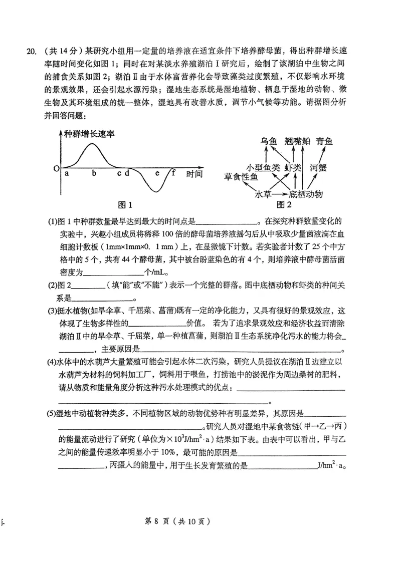 2024届江西省鹰潭市高三下学期第一次模拟考试（鹰潭一模）生物_2024年3月_013月合集_2024届江西省鹰潭市高三下学期第一次模拟考试（鹰潭一模）