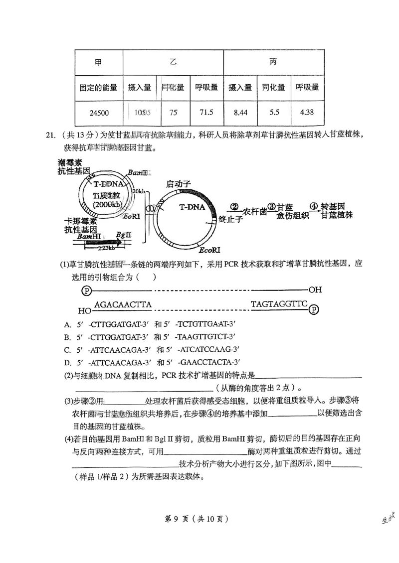2024届江西省鹰潭市高三下学期第一次模拟考试（鹰潭一模）生物_2024年3月_013月合集_2024届江西省鹰潭市高三下学期第一次模拟考试（鹰潭一模）