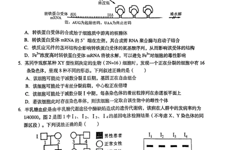 2024届江西省鹰潭市高三下学期第一次模拟考试（鹰潭一模）生物_2024年3月_013月合集_2024届江西省鹰潭市高三下学期第一次模拟考试（鹰潭一模）