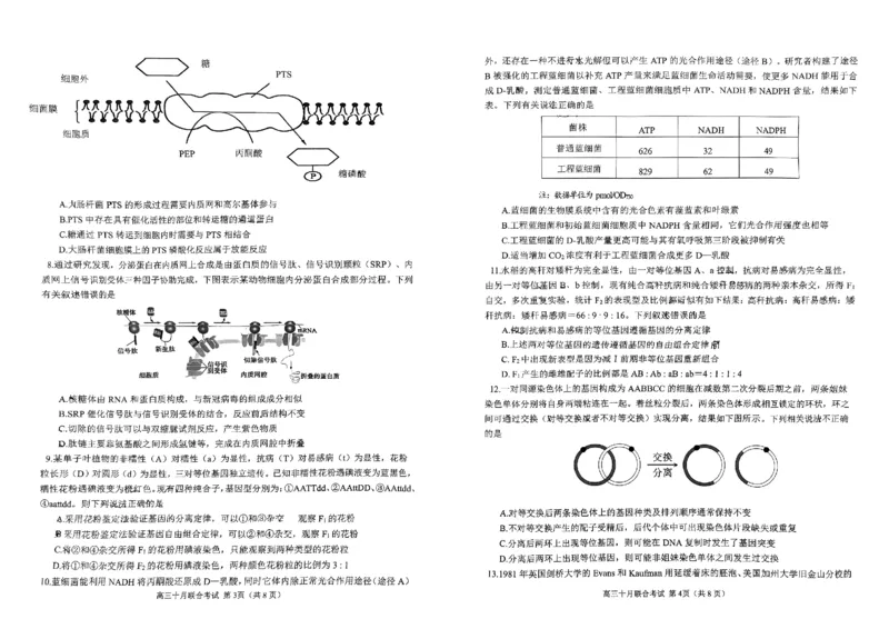重庆育才中学西南大学附中高2024届拔尖强基联盟高三十月联合考试生物(1)_2023年10月_01每日更新_25号_2024届重庆育才中学西南大学附中高拔尖强基联盟高三十月联合考试